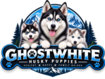 ghostwhitehuskypuppies.com